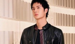 最新爆料顶流男星,从爆红到巅峰的蜕变之路