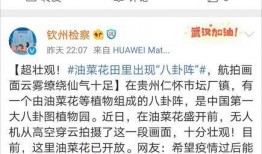 八卦博主爆料微博视频在线观看,微博视频幕后真相，带你一探究竟！